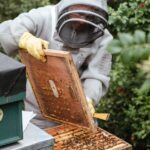 Gefahren von Honig für Kleinkinder