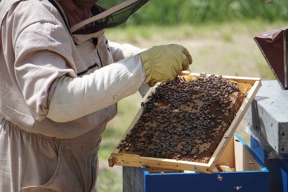  Preise für Honig beim Imker 2022