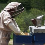 Honigpreise im Jahr 2022 beim Imker