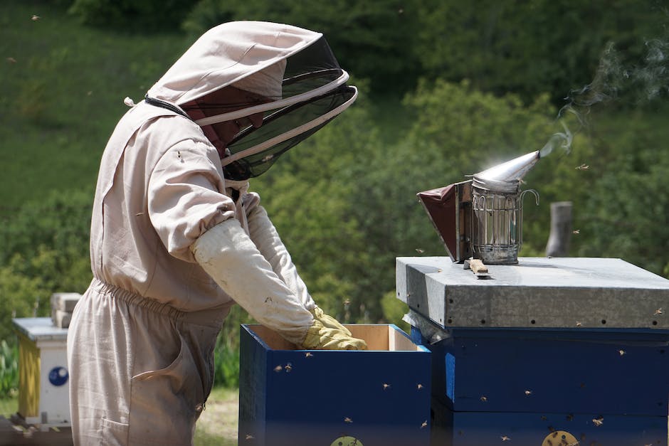 Honigpreise im Jahr 2022 beim Imker