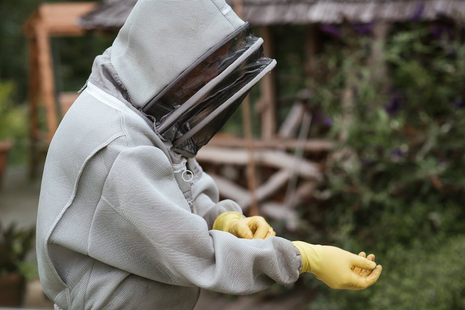  Bienenzüchter macht Honig