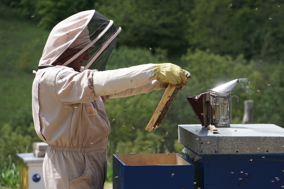  Honigproduktion