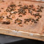 Kristallisierten Honig wieder flüssig machen Tipps