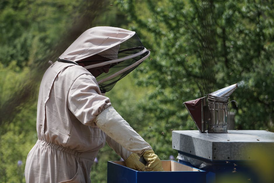 Wie Bienen Honig herstellen