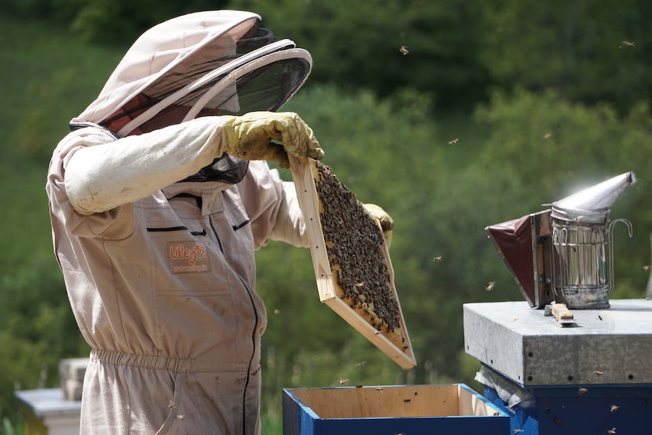  wie viel kg Honig produziert ein Bienenvolk pro Jahr