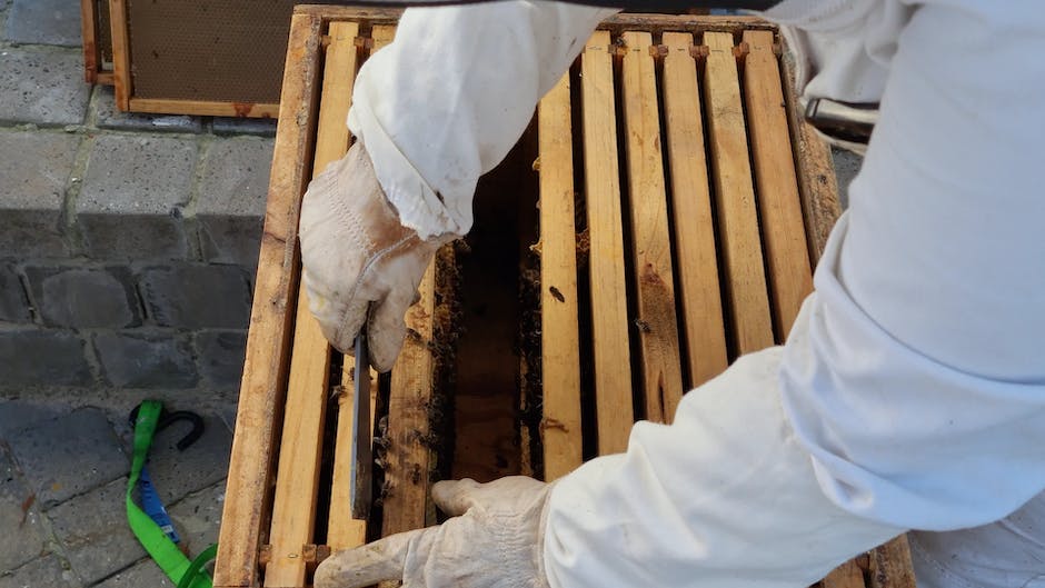 Kilo-Honig-Ausbringung-eines-Bienenvolks-pro-Jahr