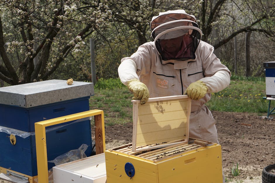  Anzahl Bienen für 1kg Honig