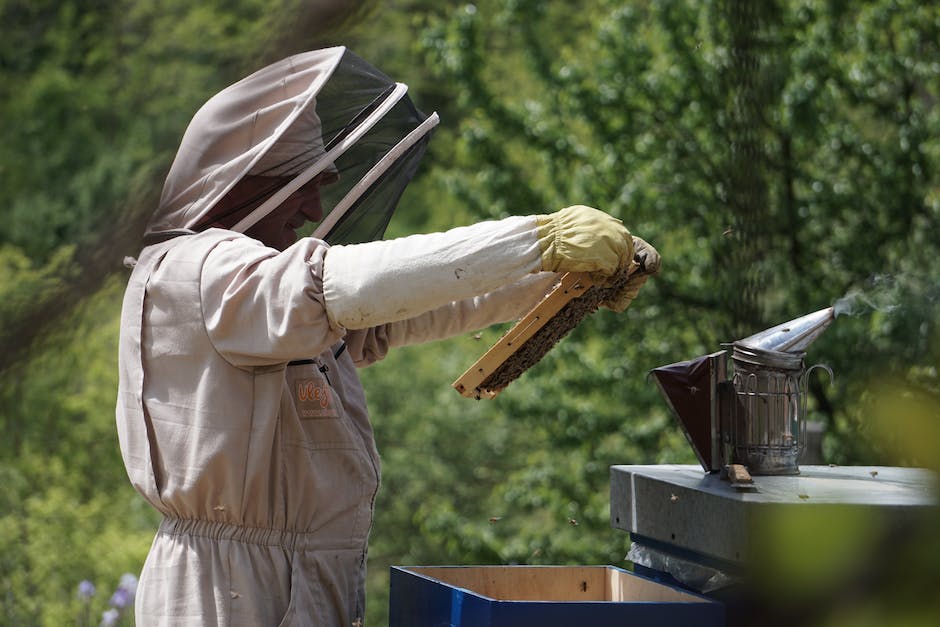 Wie viele Bienen benötigt man für ein Kilogramm Honig?