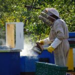 Wie weit muss eine Biene fliegen, um 500g Honig zu sammeln?