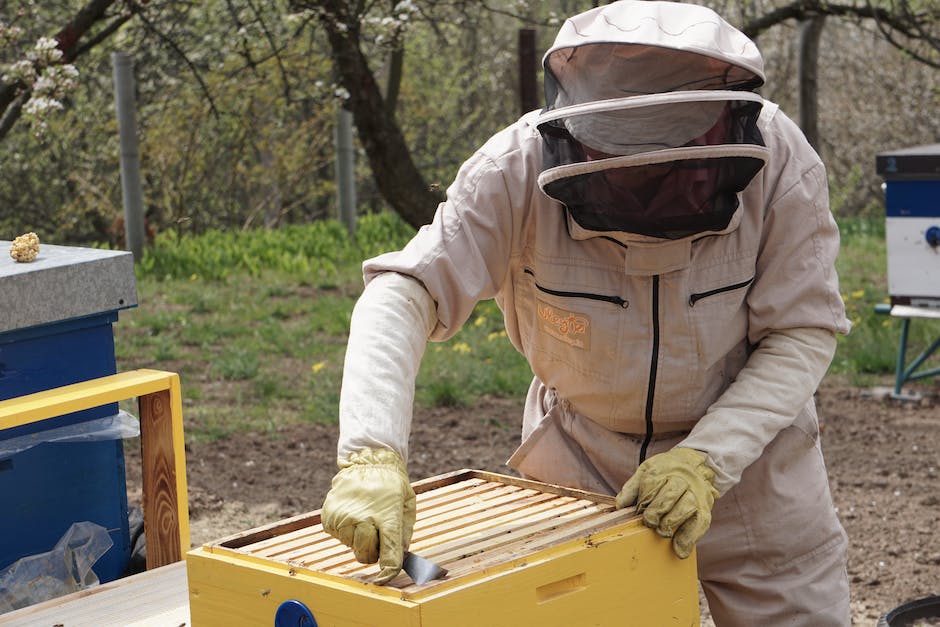 Wo man im Kopf die wohltuende Wirkung von Honig entdecken kann.